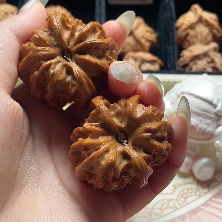 把件龙脊菩提曹大龙梦幻水晶皮