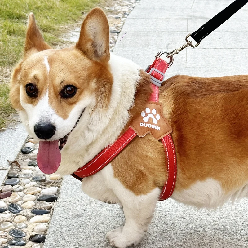 狗狗背心式宠物胸背带中大型犬柴犬柯基脖圈狗狗胸背牵引绳狗狗