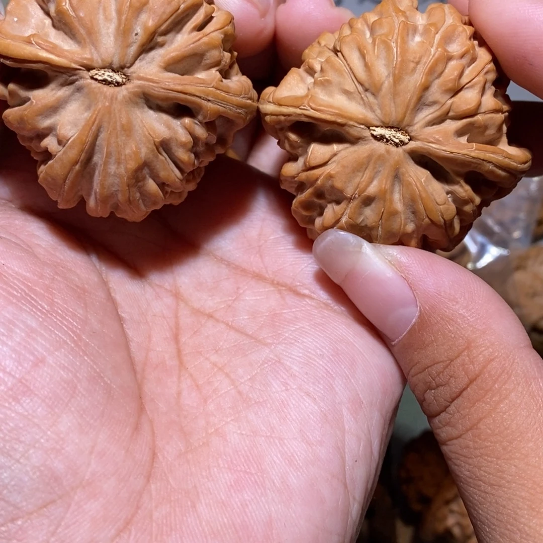 V***O核桃手串/手链凤凰台