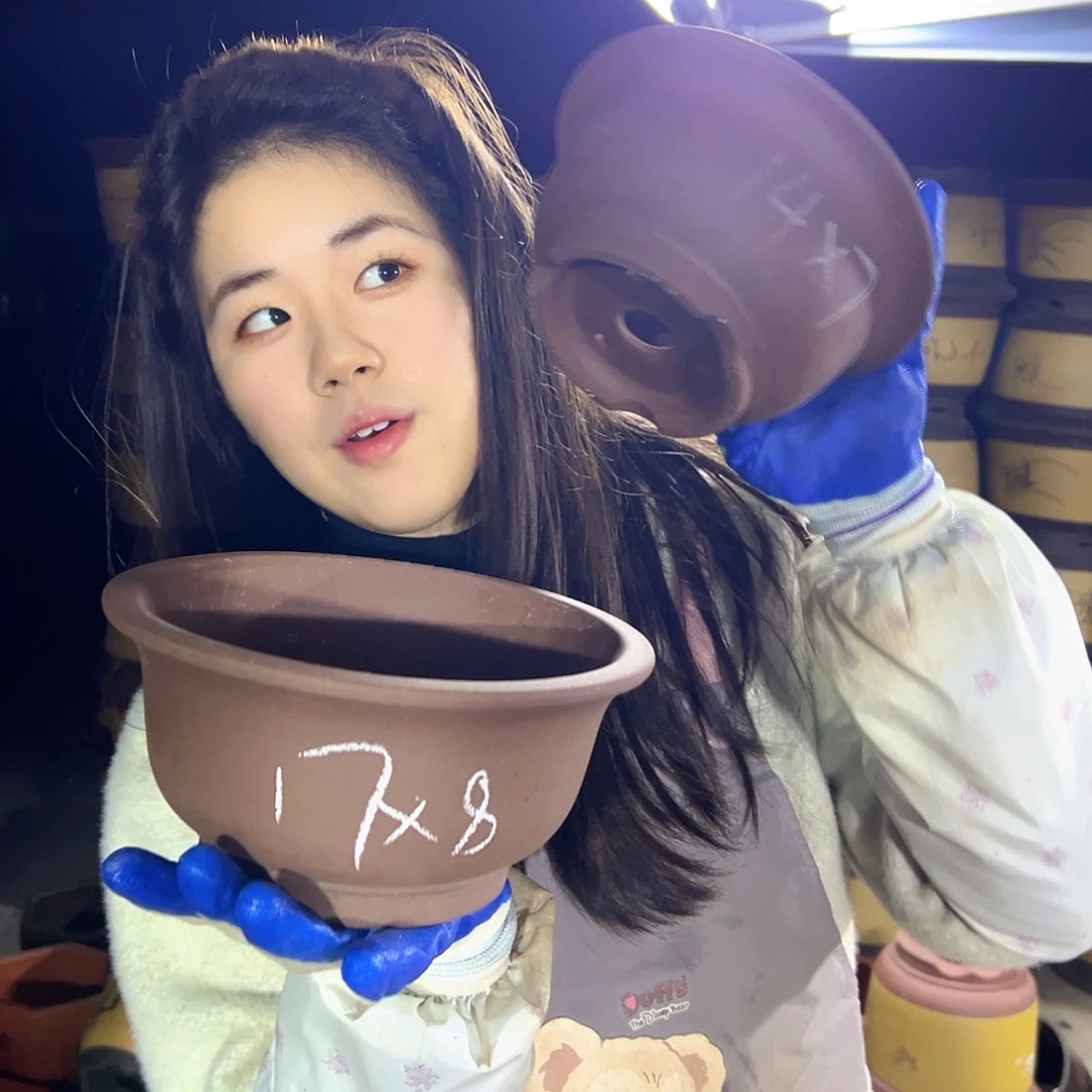 17+14查林小碗花盆花盆