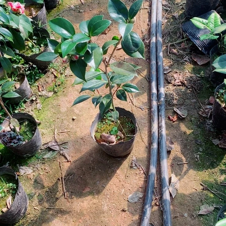 完全开放1111111111