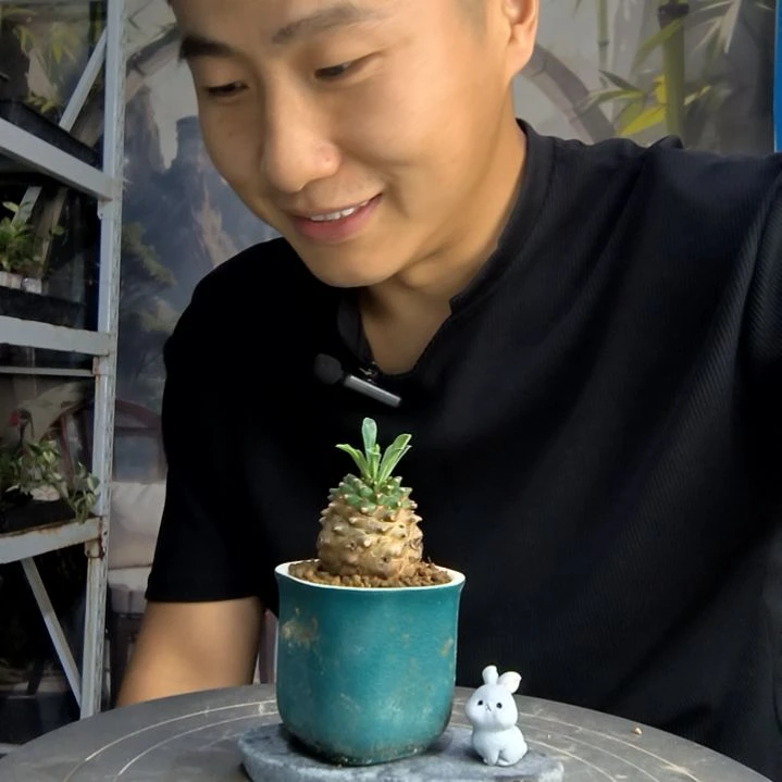 总****朕中青园艺一物一拍166