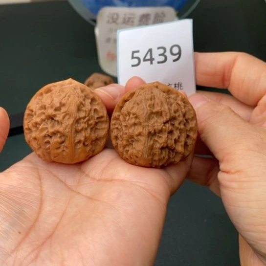 把件文玩核桃40蓟县元宝5439