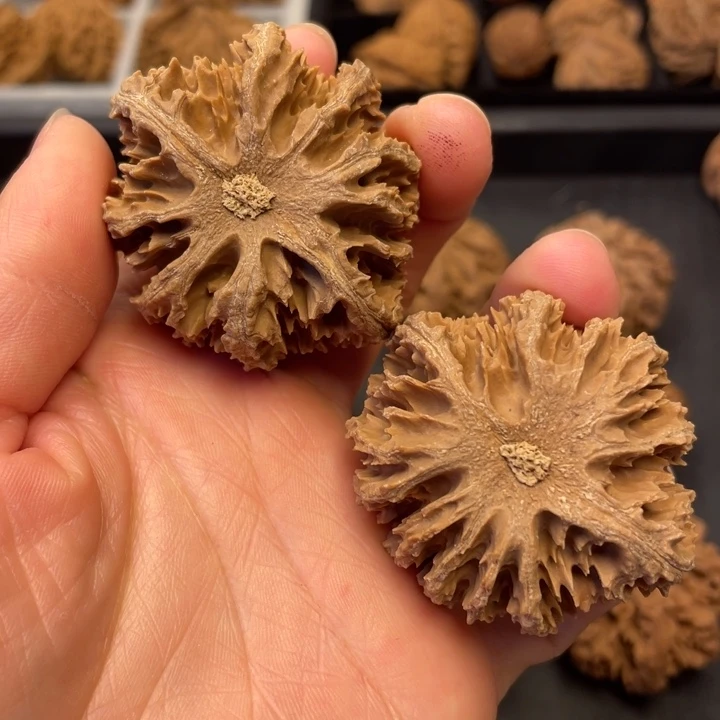 吊坠文玩核桃秦岭以南是长江上游