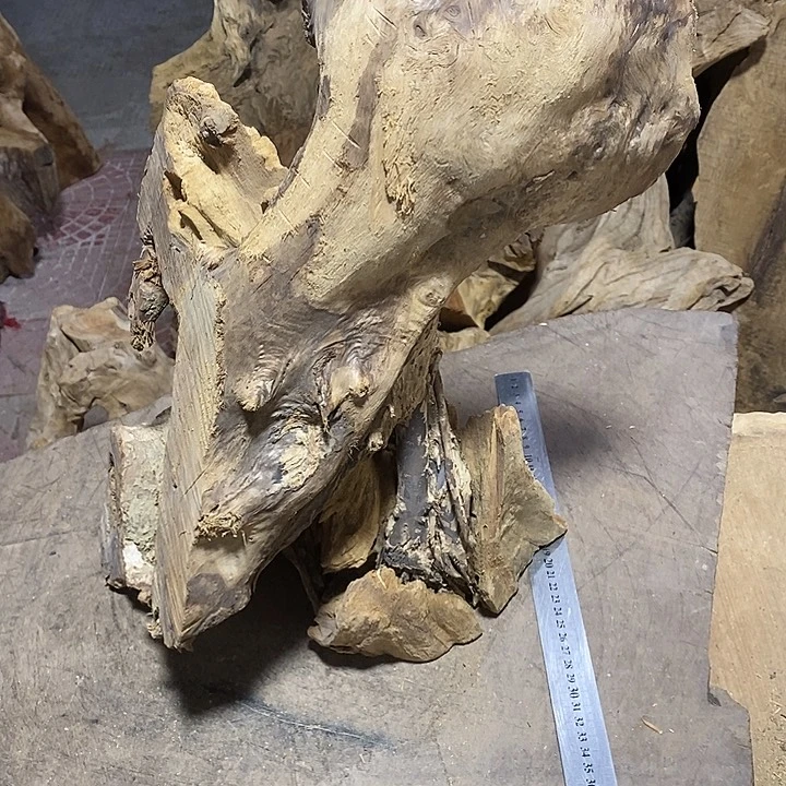 乌木类新***划金丝楠木小叶