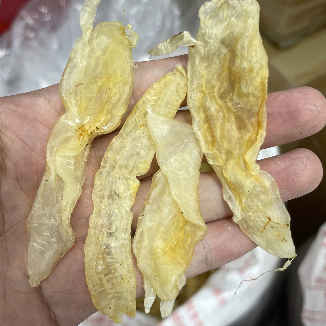 小北海胶鱼胶滋补干货适合孕妇坐月子食用清水货