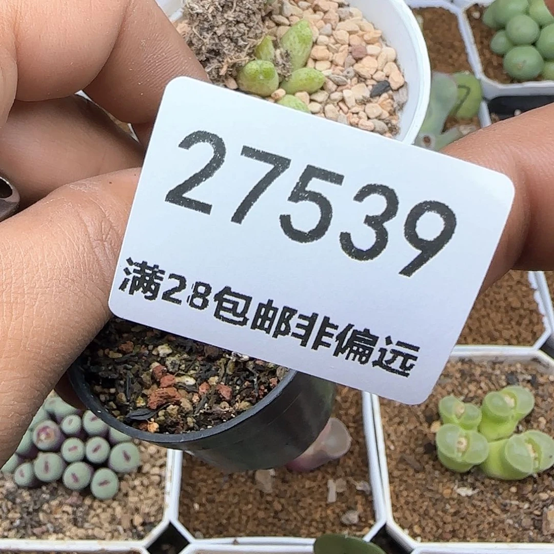 无****?脱土28包邮27539