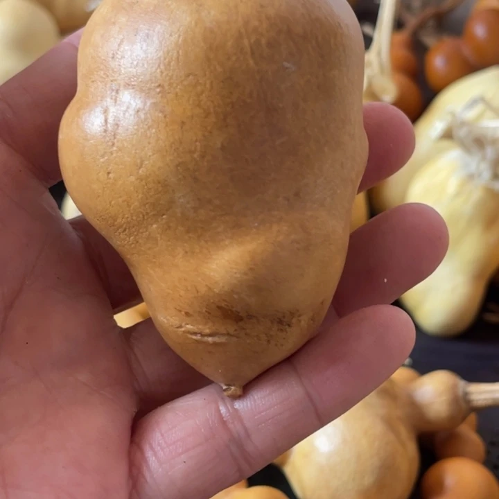 黑****葫芦葫哈哈哈哈哈哈哈哈