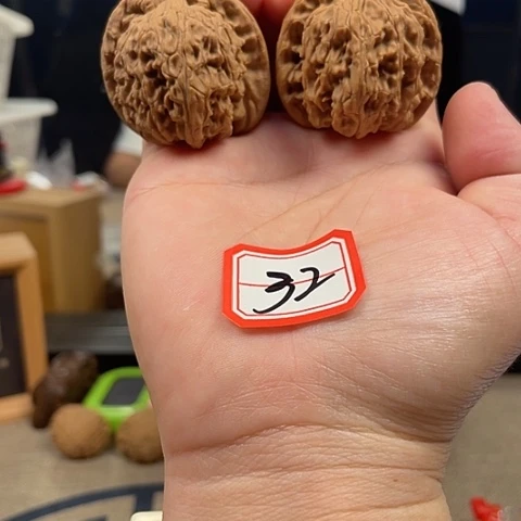 文玩核桃把件全品红狮子40