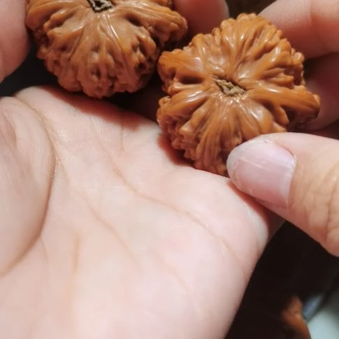 猴头核桃吊坠40野生