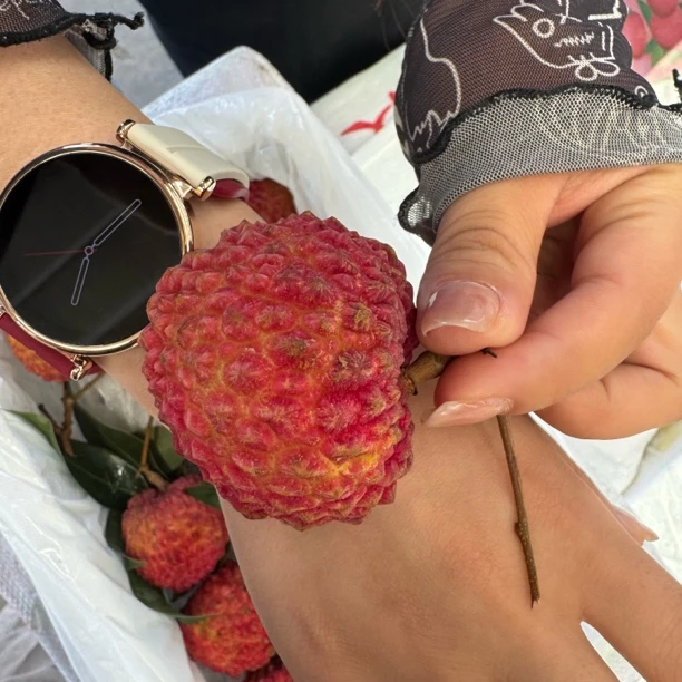 海南空运 荔枝王 一箱 两斤装荔枝同城送新鲜