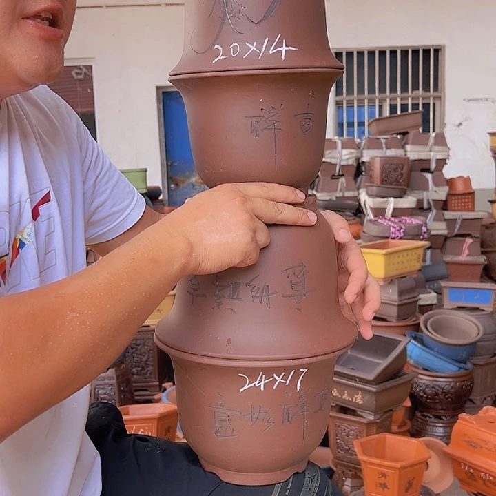 紫砂花盆紫砂花盆