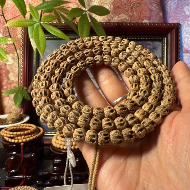 热振百香 尸陀林对眼《鬼瞳》老树籽长串