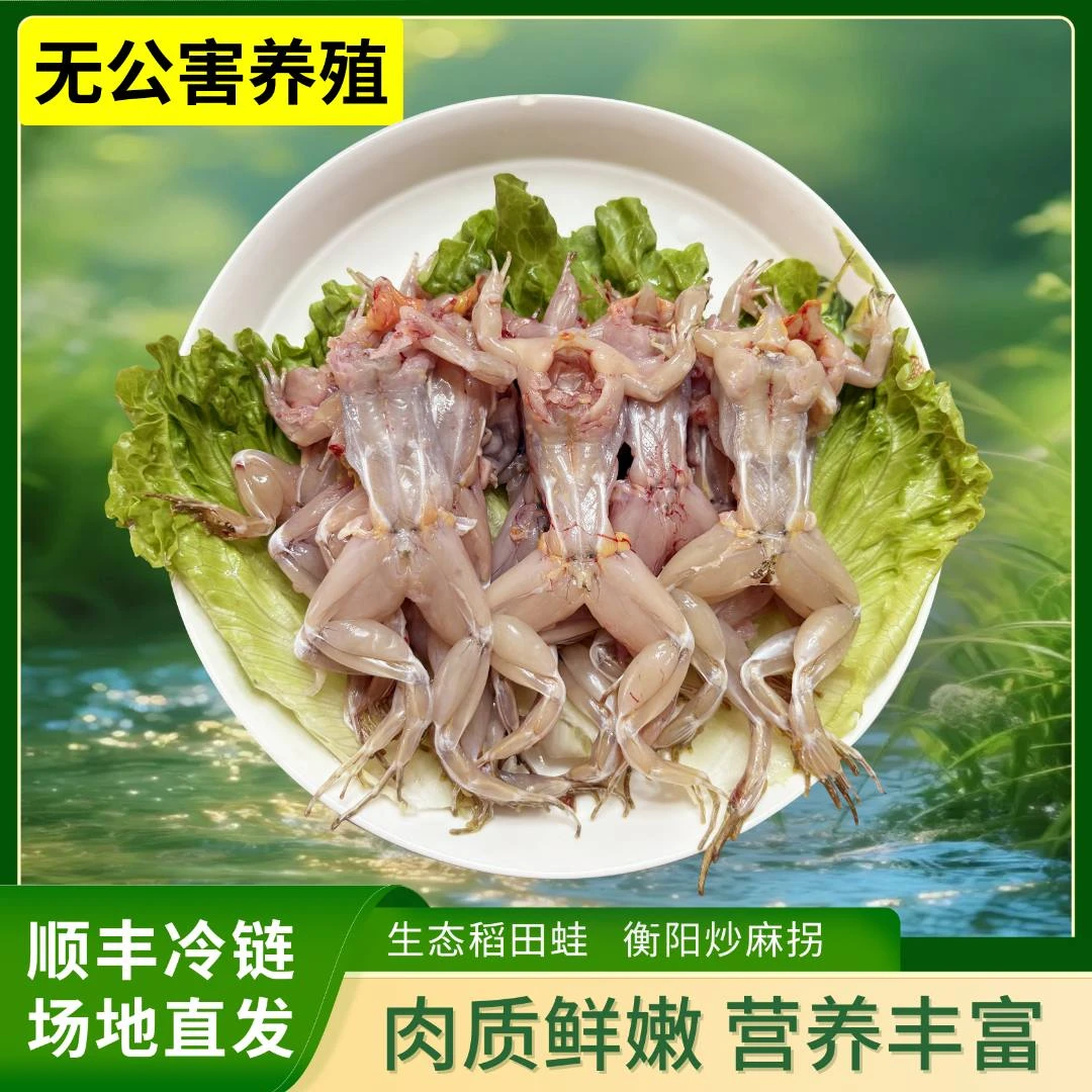 【新鲜蛙肉】正宗生态稻田蛙肉 紧实鲜甜 顺丰冷链