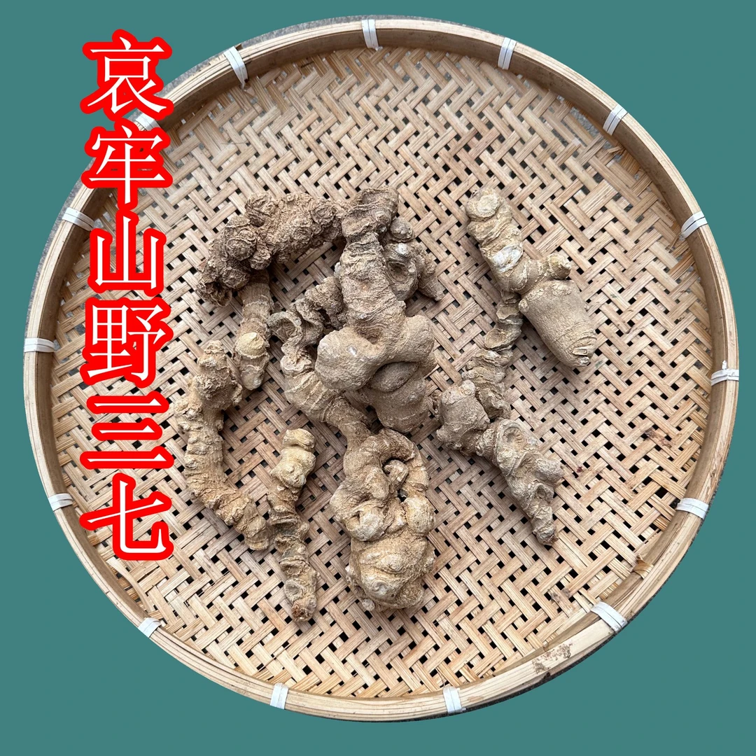 云南哀牢山野三七精品干货中药材正品