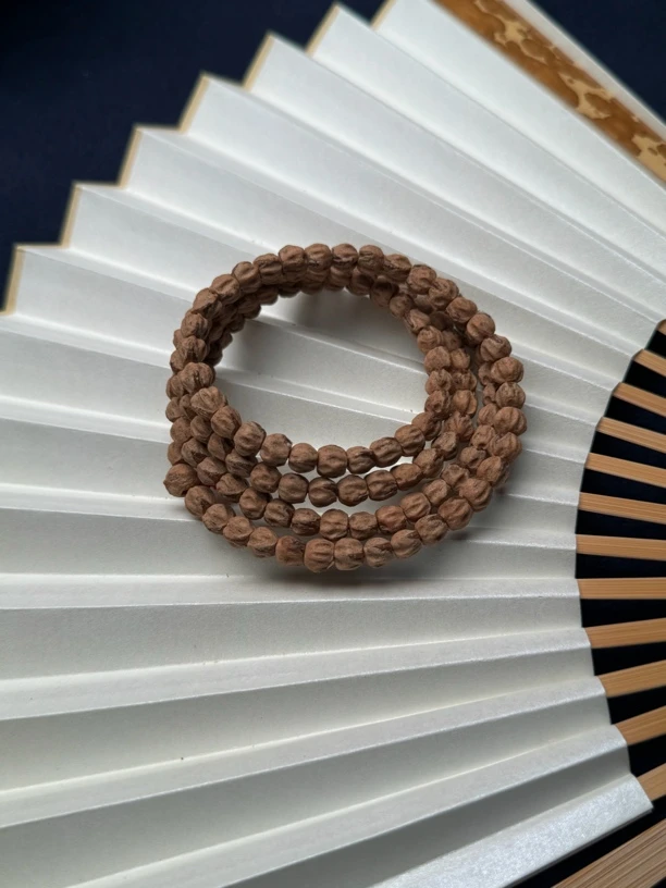 柏香籽红芽多棱鬼脸