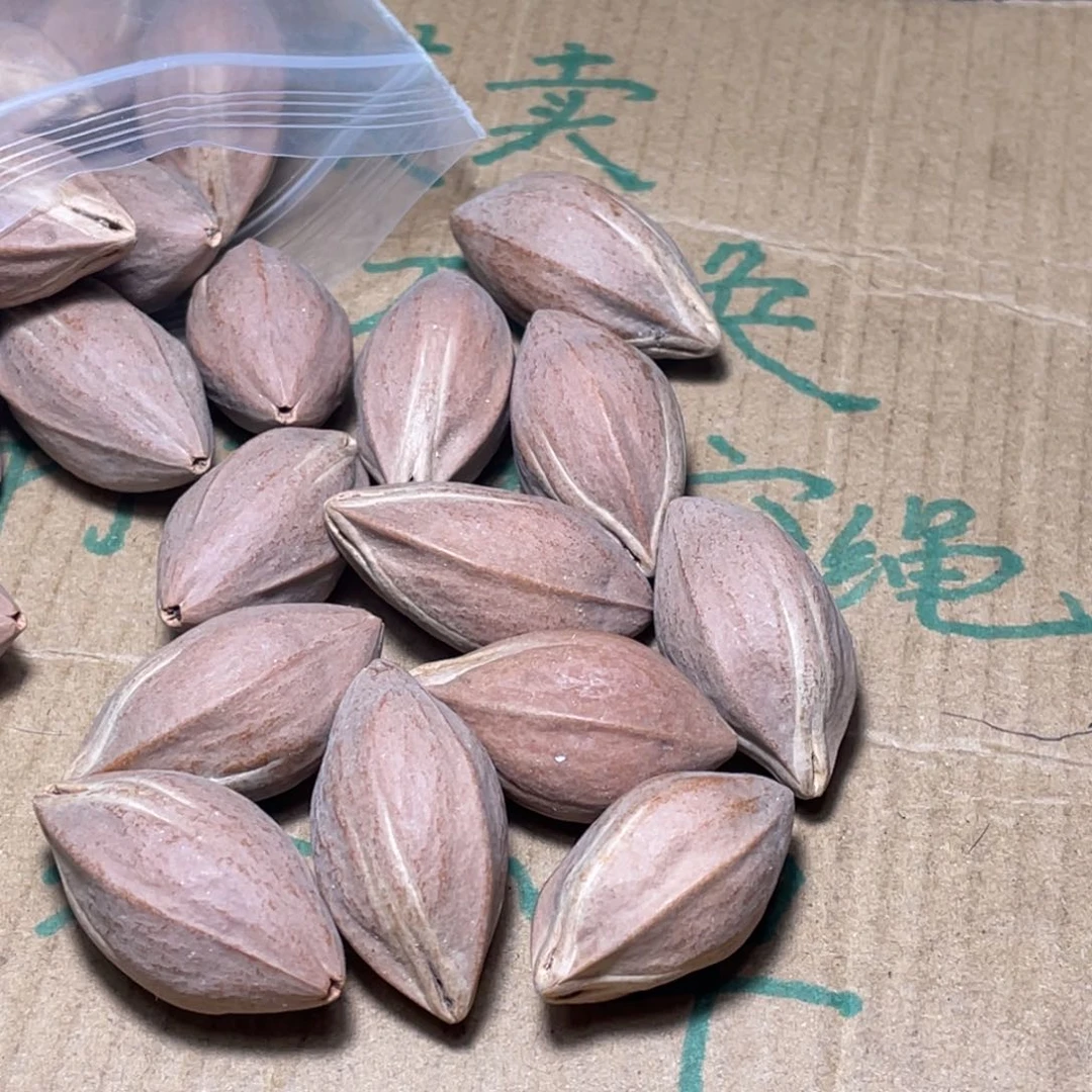 ?****海不退不换q er tui o