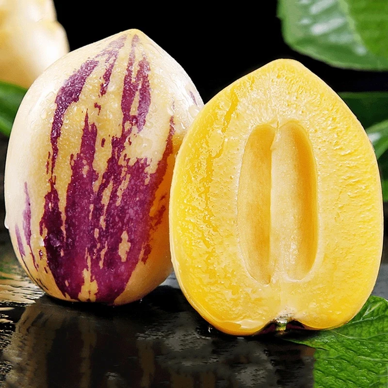 甘肃民勤人参果树上熟多汁清甜皮薄单果150g-450g约7-15个zx