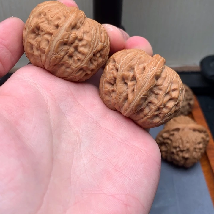 ****核桃43尺寸全品无修元宝！！