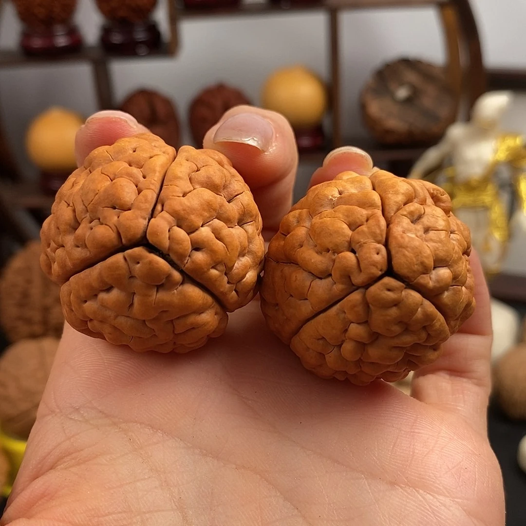 文玩核桃把件8️⃣三瓣脑纹金刚练手不退不换3743