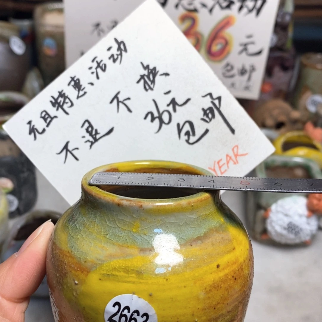 元旦特价花盆不退不换的原价28元