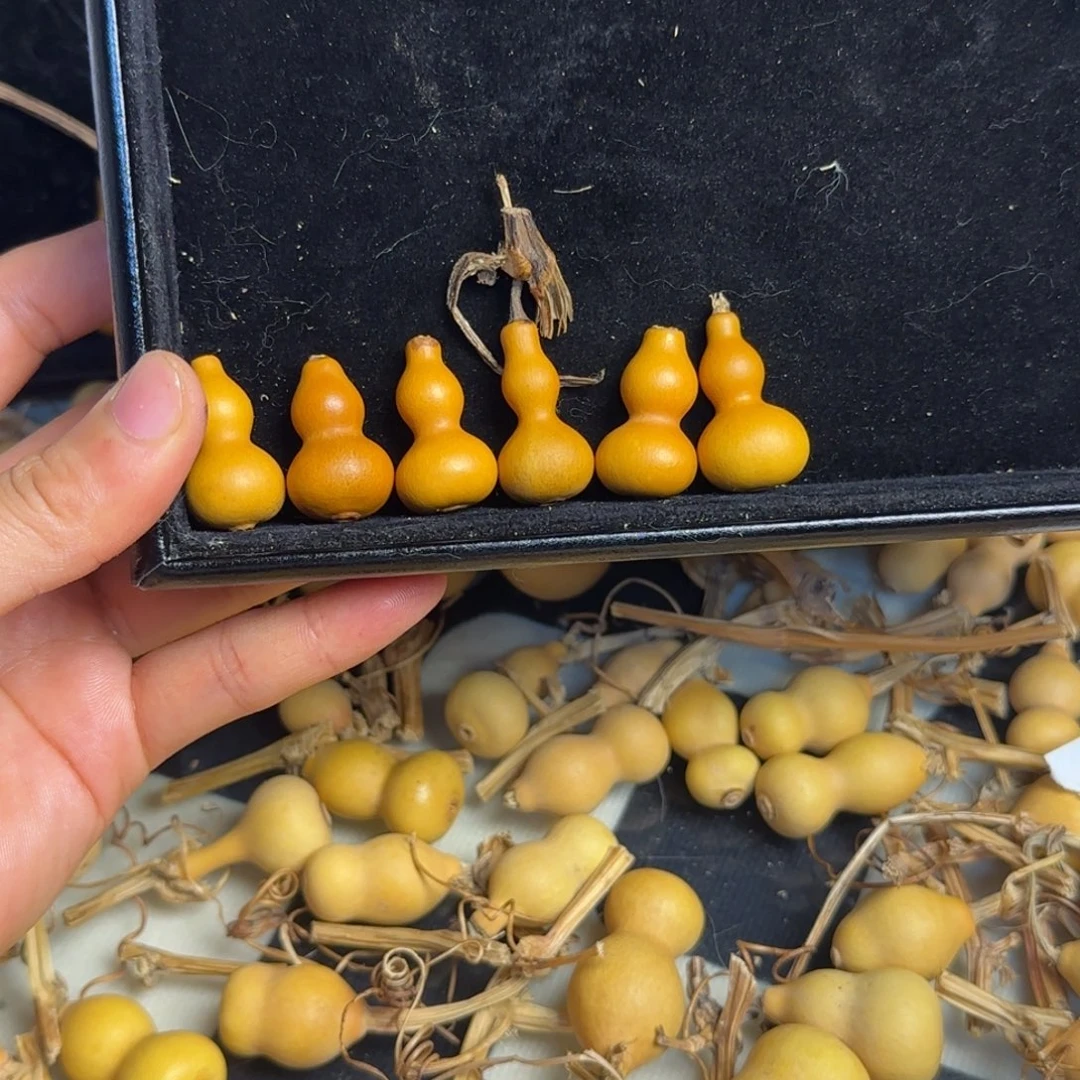 ****怪打孔不退不换！秒拍秒退拉黑！