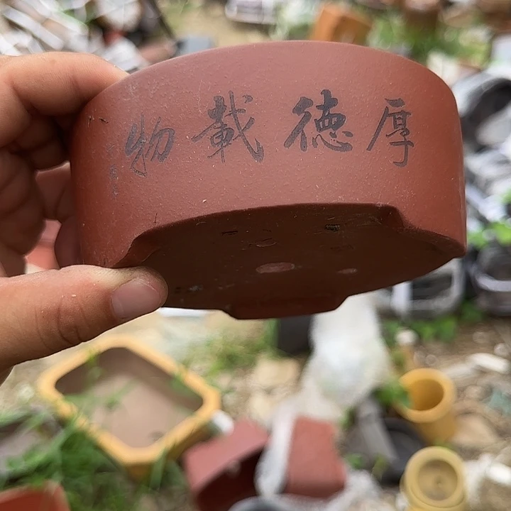 你不说不让她干啥呢