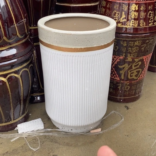 细白绿中口25/38福利