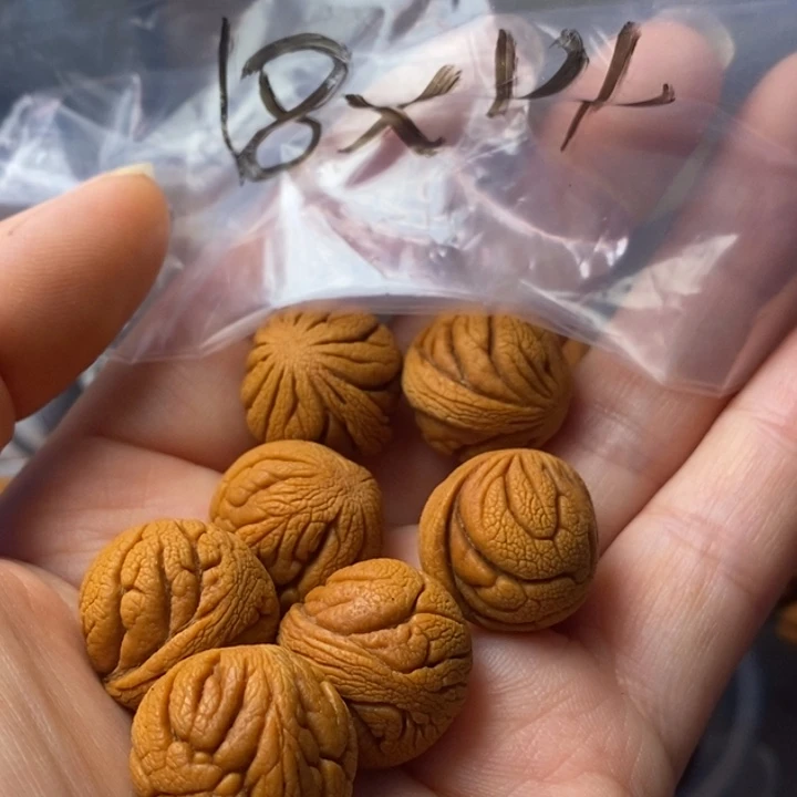 手串文玩核桃秦岭野生龙纹桃核18