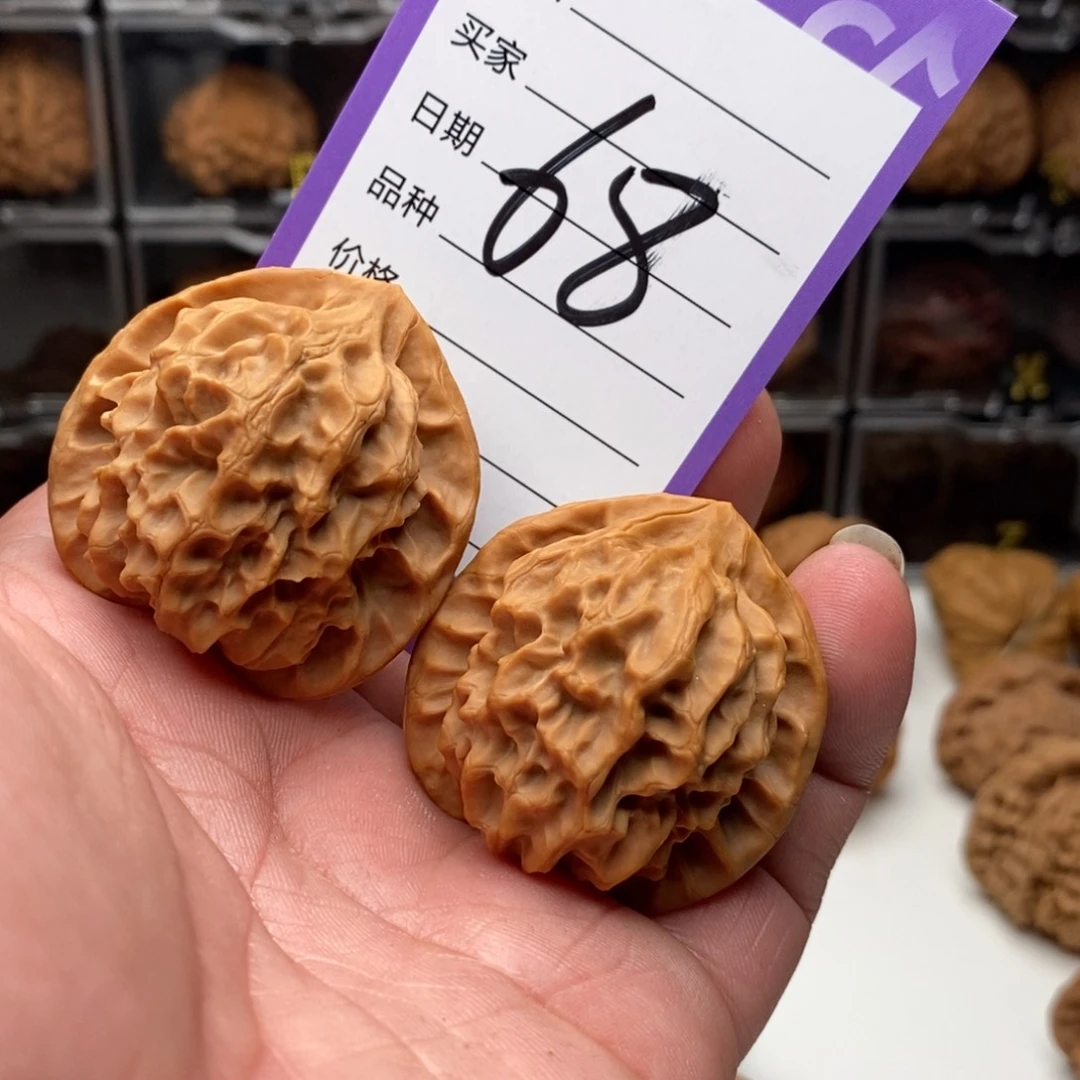 41龙鳞狮子头一对，微微修