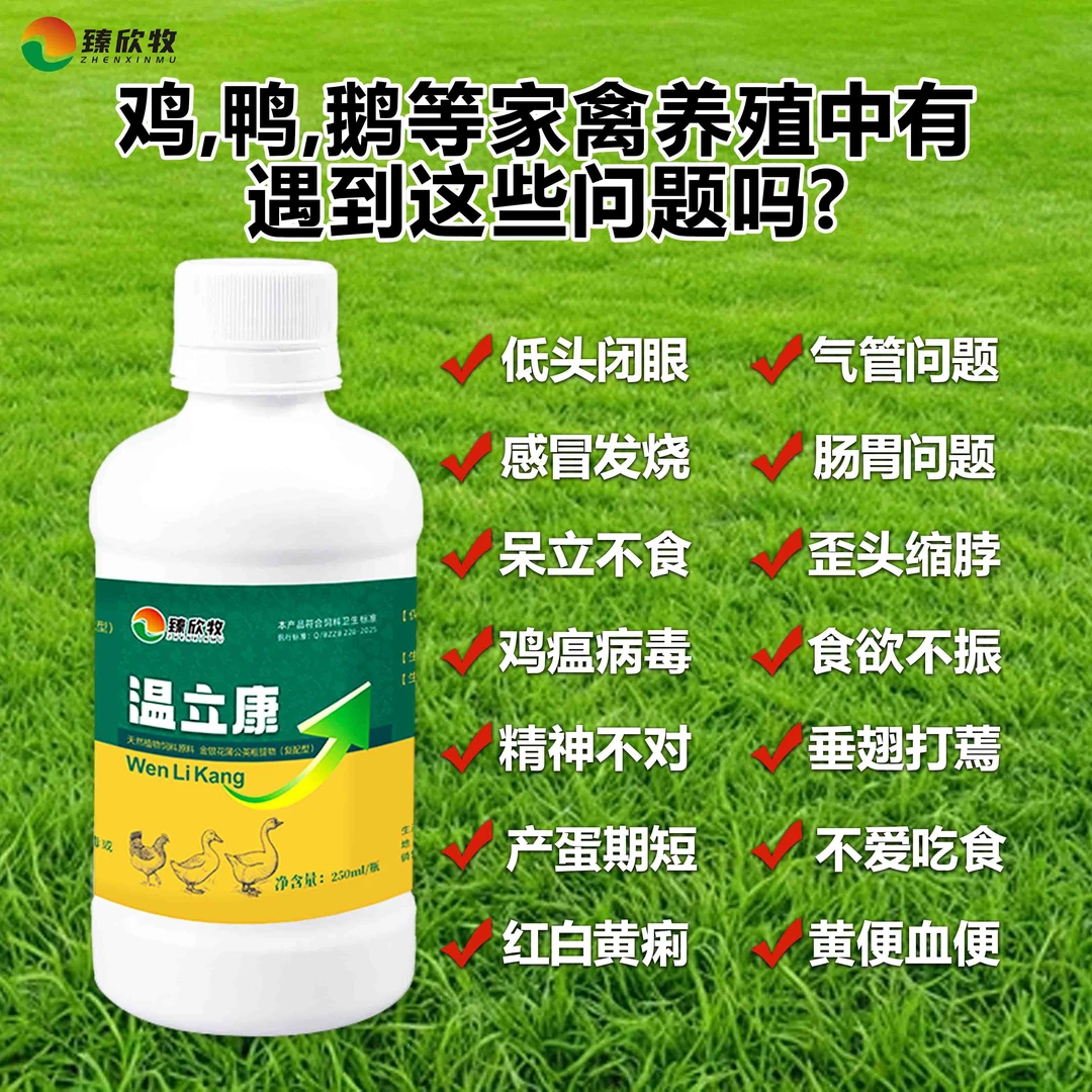温立康（鸡鸭鹅等家禽养殖专用、厂家直销）喂鸡鸡鸭鹅专用养鸡鸡药
