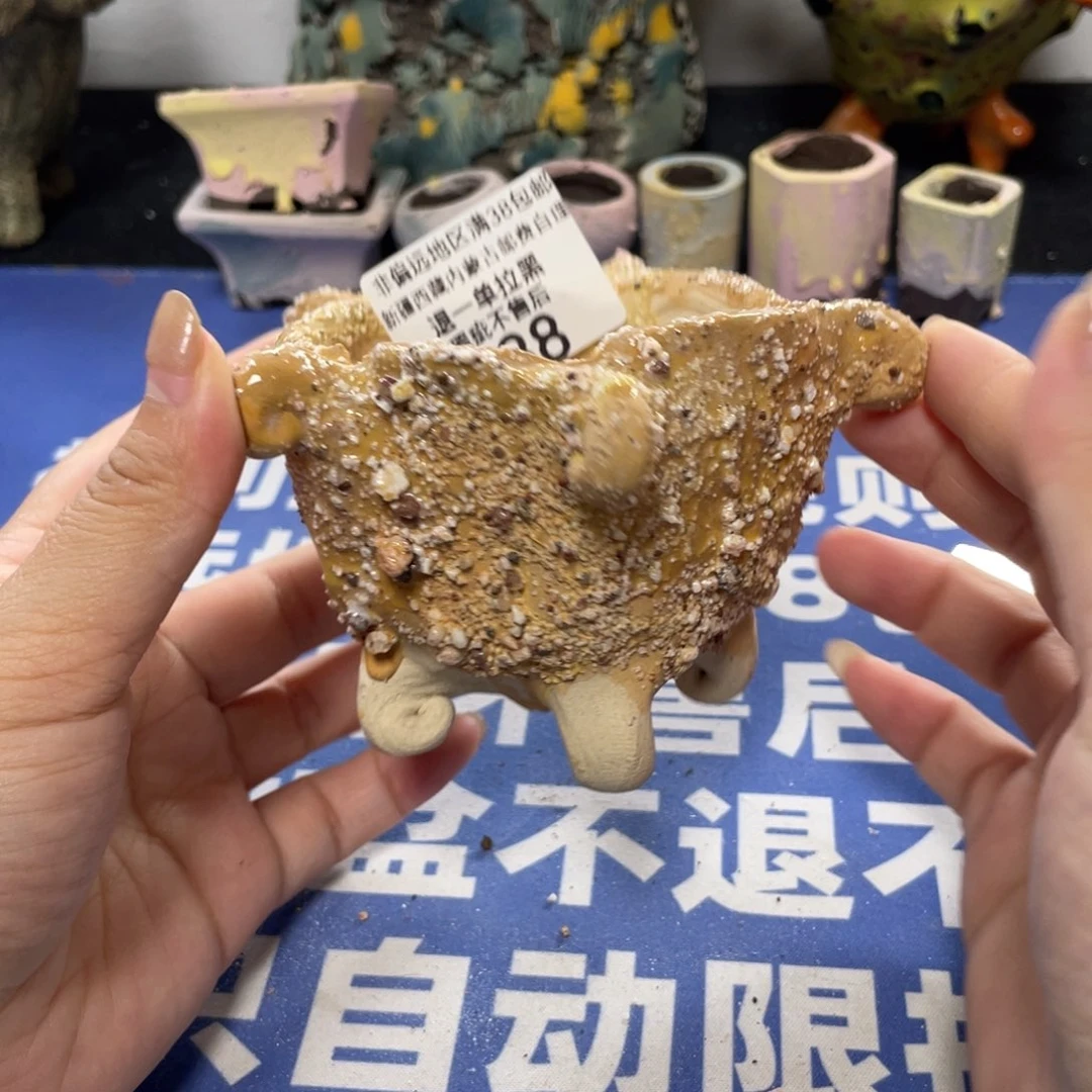 特价微瑕疵不退不换哦238