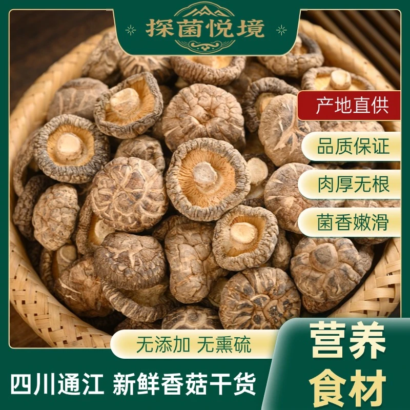 鲜嫩爽滑【品质香菇】四川农家种植香菇肉厚无根泡发简单