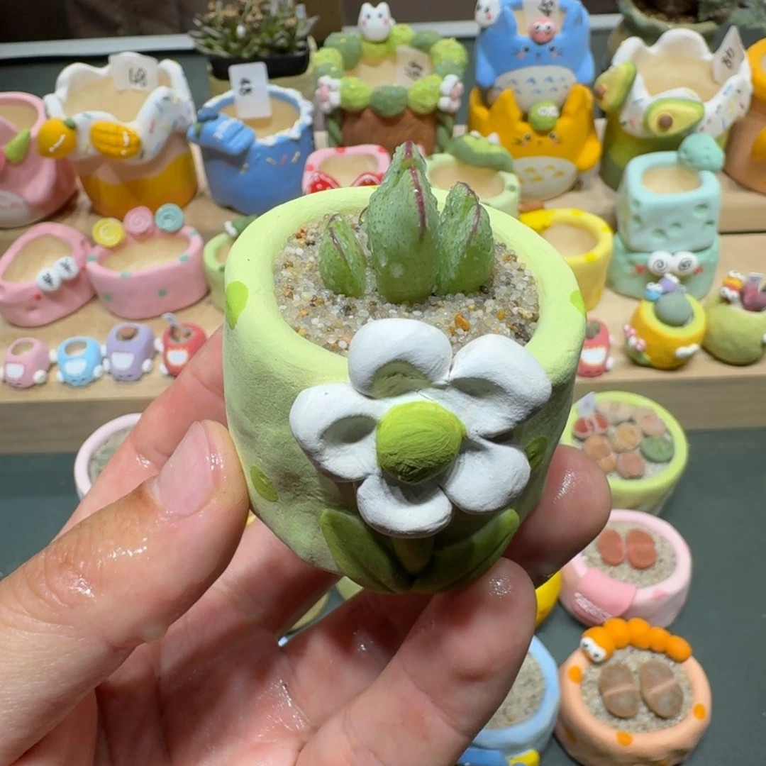 红陶蘑菇408少将