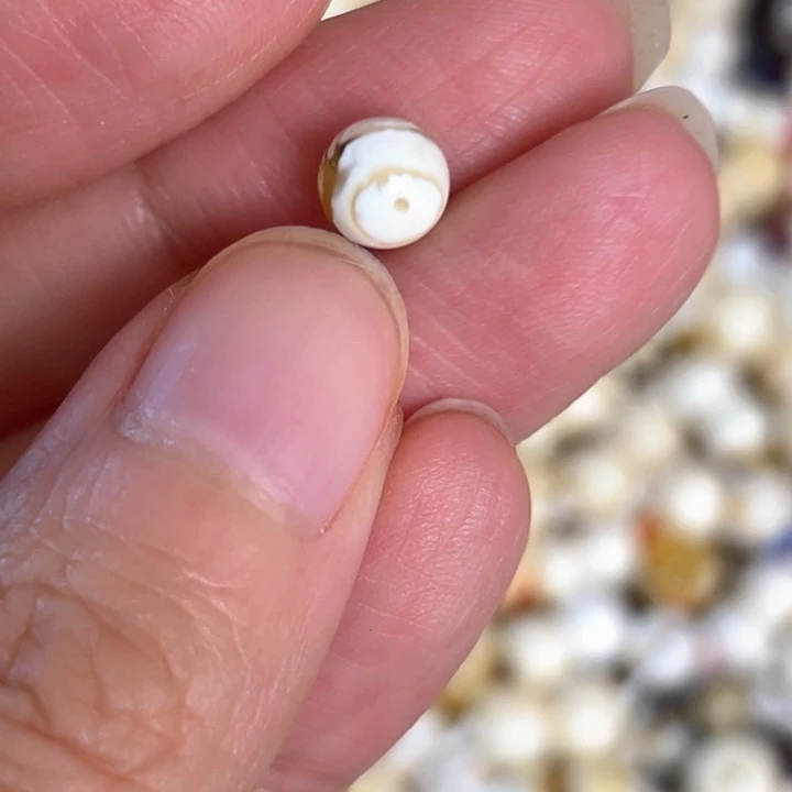 未镶嵌蜜蜡裸石6.5mm一个