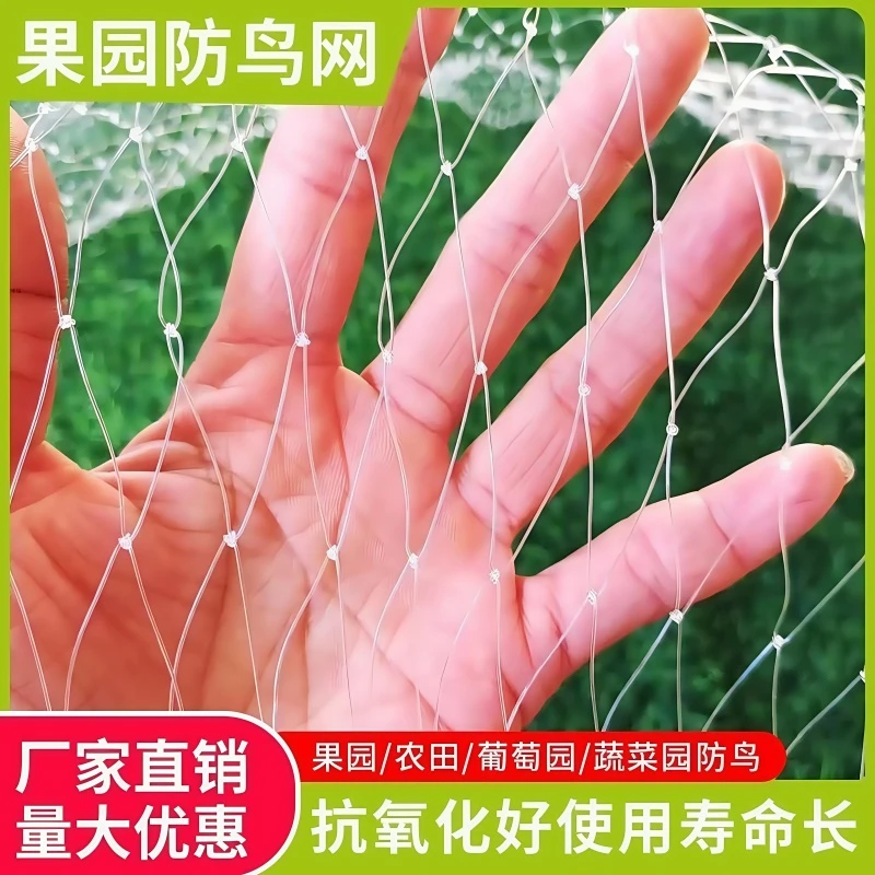 防鸟网草莓大棚果树樱桃葡萄梨树果园防鸟用网尼龙嘉宝网鱼塘天网