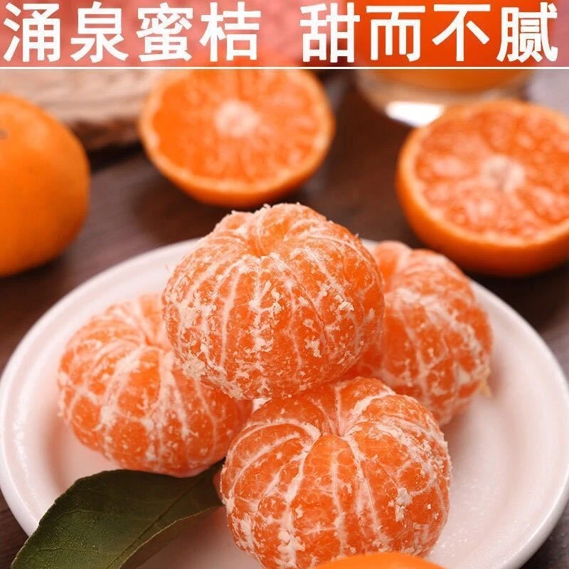 顺丰上门【正宗临海涌泉蜜桔]新鲜橘子现摘无籽蜜桔原产地直发21