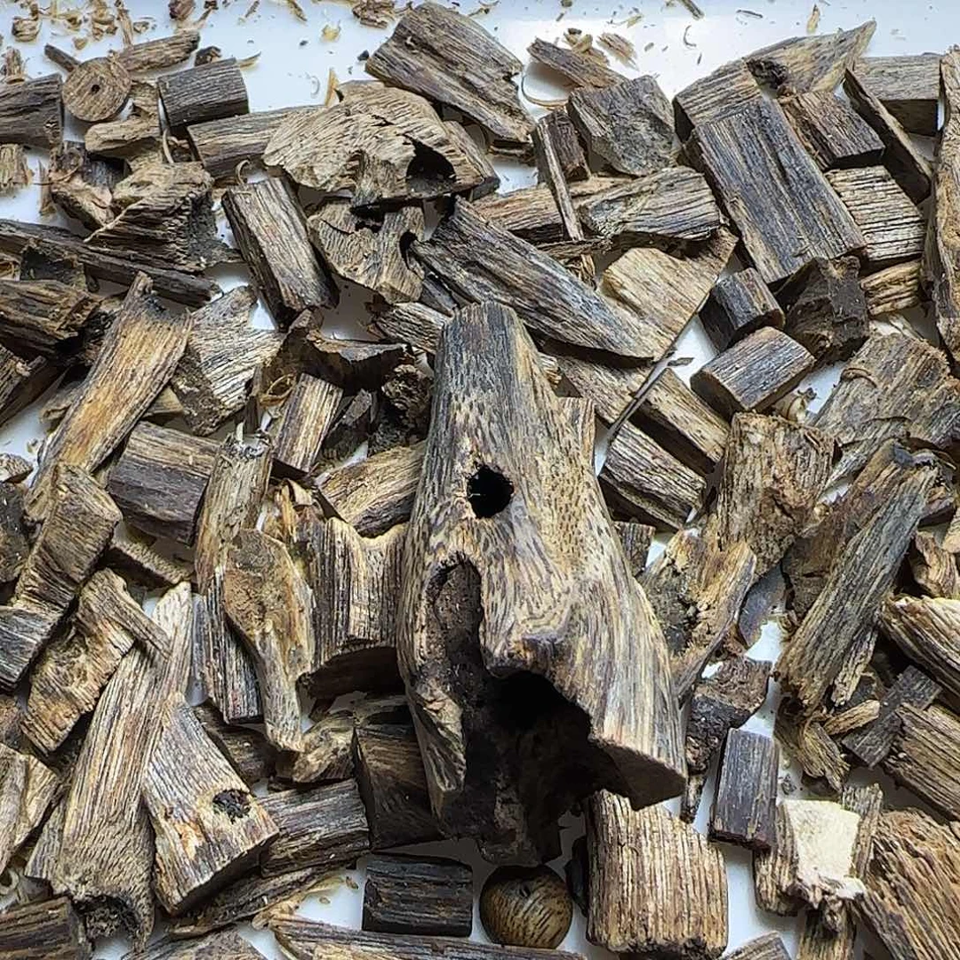 沉香沉香碎屑虫漏