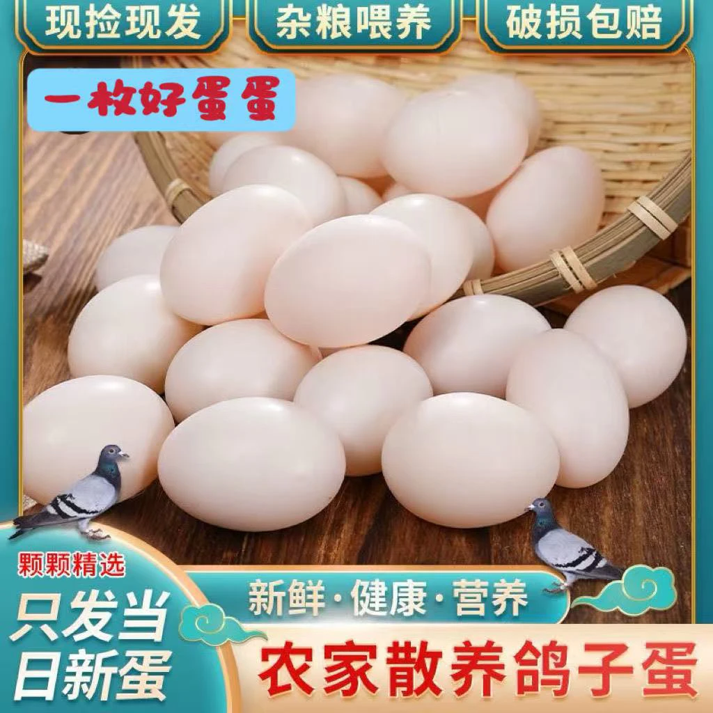 沂蒙山鲜鸽子蛋30枚620克尊享精选天然鸽蛋现捡现发五谷杂粮农家