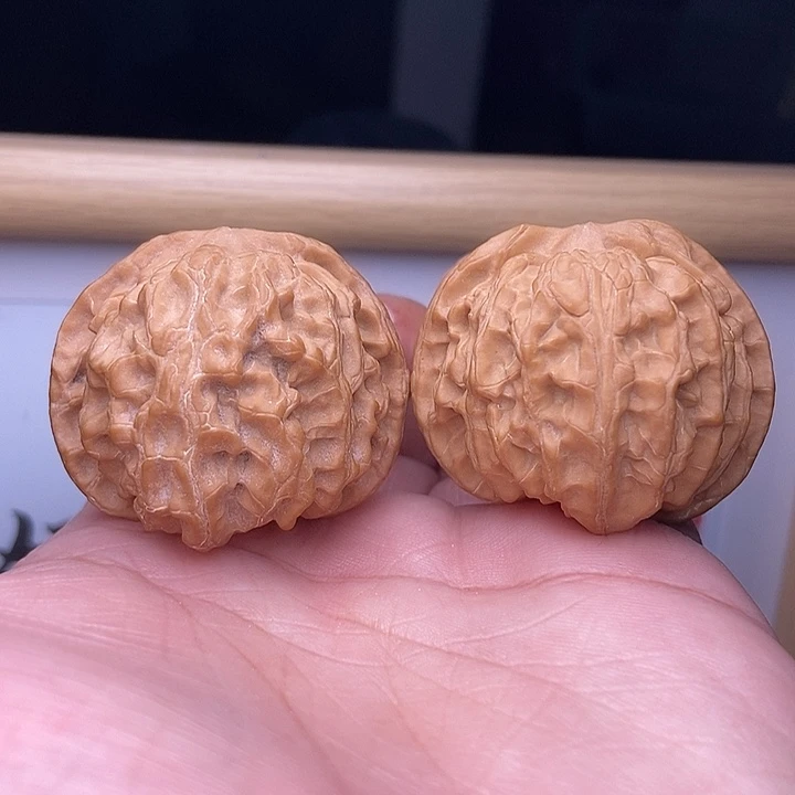 核桃小尺寸苹果园