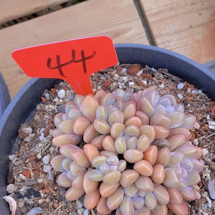 这个点就困着看电视