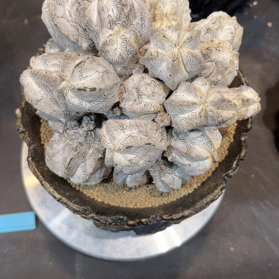 哈哈哈哈哈哈哈哈哈哈