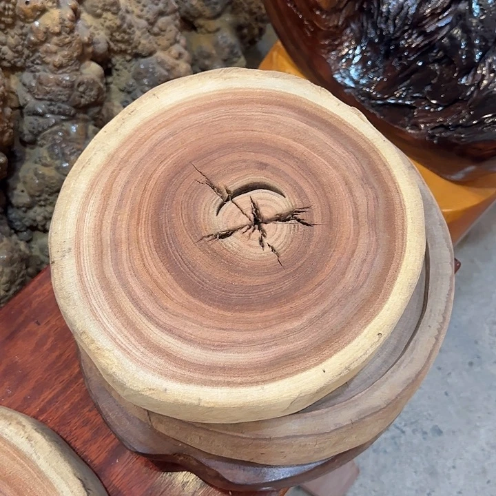 香樟木干泡台26-27-5