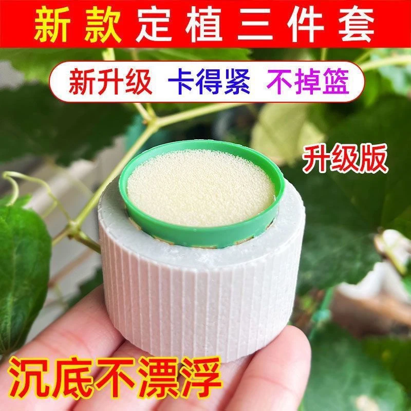 鱼缸水草定植环陶瓷环种植水草杯草缸养草环水草种植固定底座篮子