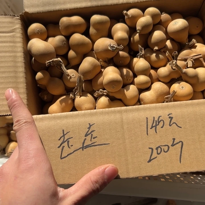 走****大叶紫檀（黑酸枝木类）