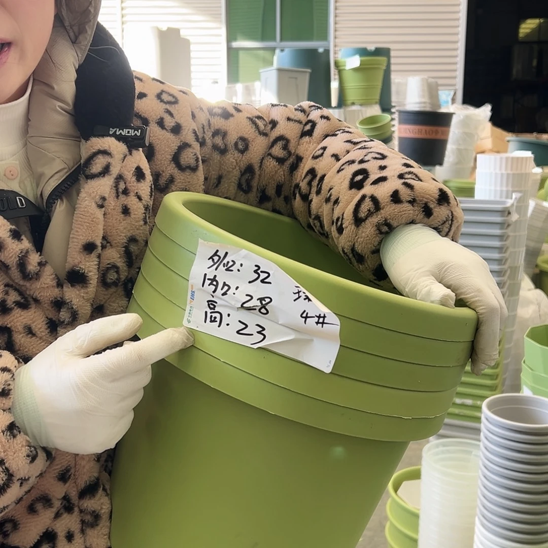 球根盆4#果绿5个无托