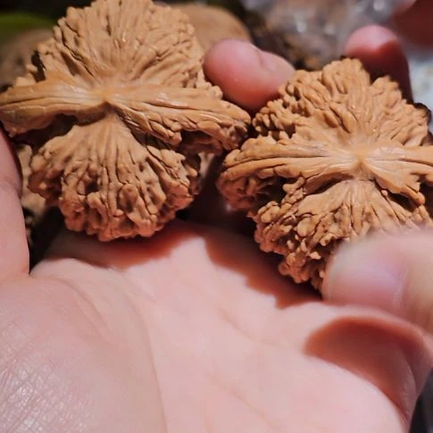 吊坠文玩核桃48狮虎兽