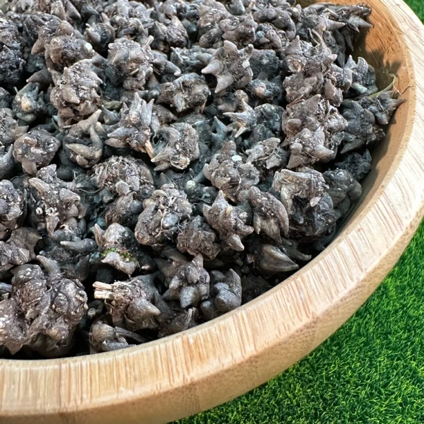 精选头茬喵爪草 水洗野货