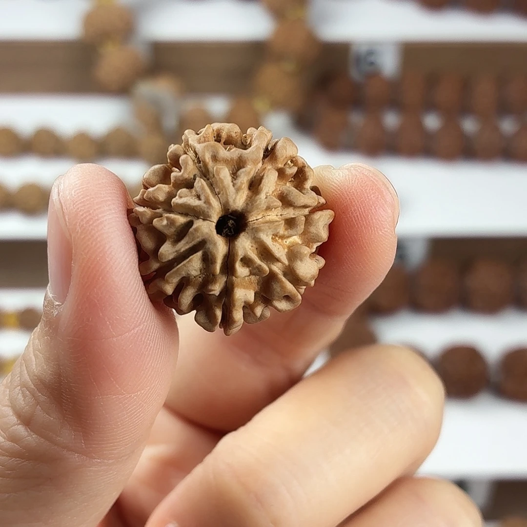金刚菩提手串原生态精品7瓣高货