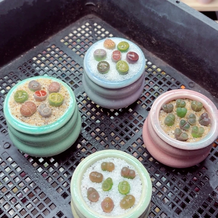 零下地区记得拍保温箱7026